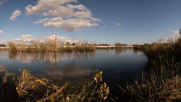View from shore of Sepulveda Basin water catchment basin with marsh plants along shore.