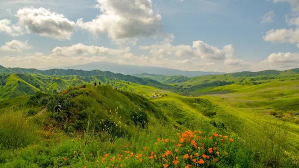Green hills with orange California poppies in bloom in foreground in Chino Hills State Park, California.