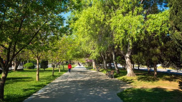 Paved walkway with a few people in lush green city park with large trees and benches.