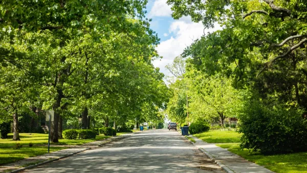 Large trees on either side of wide suburban street.