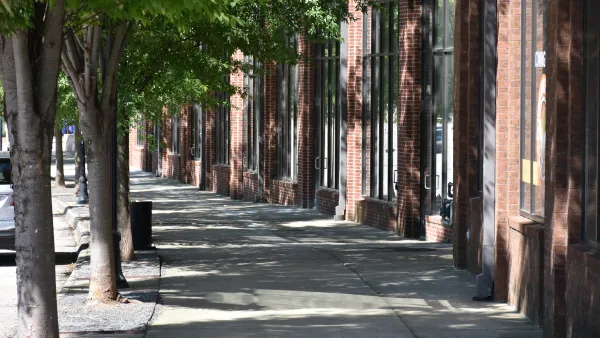 Urban sidewalk shaded by large mature trees
