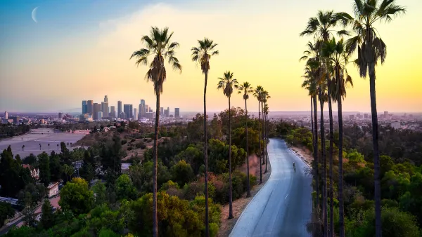 Sunset view of tall palm trees and shorter trees lining empty street with Los Angeles skyline and crescent moon in background.