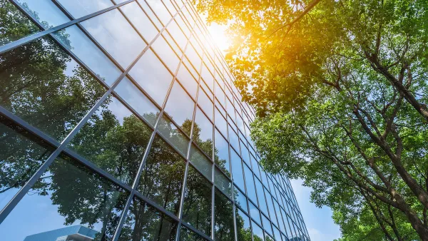 Looking up at a modern glass skyscraper with green tree next to it.