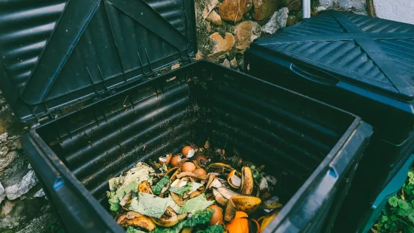 Close-up of food waste inside a black plastic compost bin.