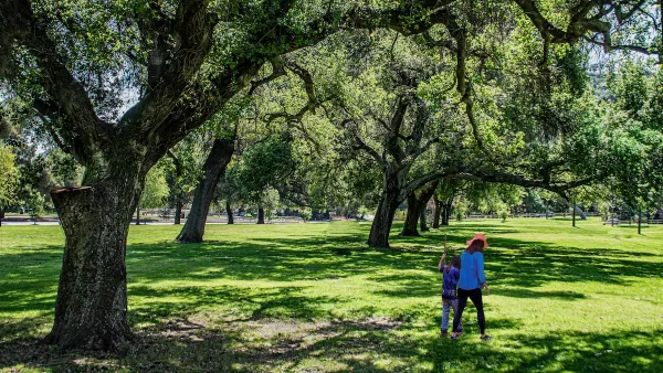 Two people walking under large trees in Griffith Park, Los Angeles, California.