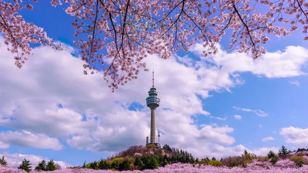 View of E-World 83 Tower in Seoul, South Korea through branches full of white and pink cherry blossoms.