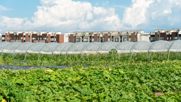 View of field of produce and hoop house on urban farm, with a line of multistory buildings in the background.