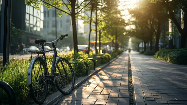 Bike parked on urban sidewalk with large street trees.