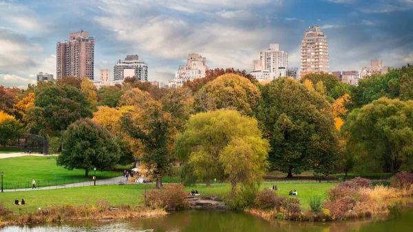 View of green meadow with people and fall-colored trees in Central Park with Manhattan buildings in background.