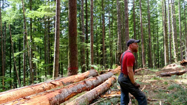 Timber Production