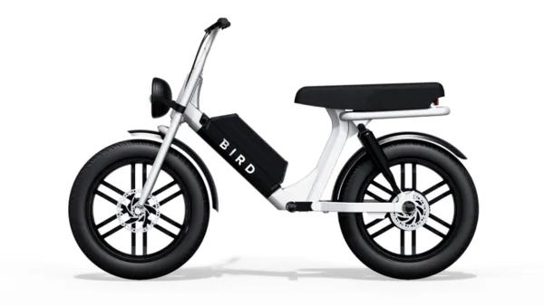 Bird Cruiser