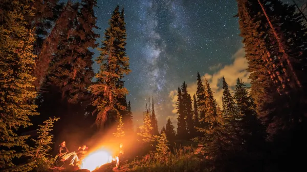 A campfire in the wilderness, surrounded by a group of people, burns with the stars overhead.