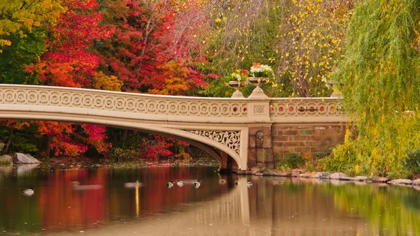 Central Park The Lake