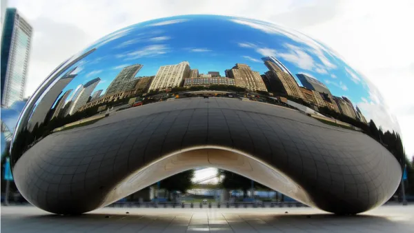 Bean06_Crop