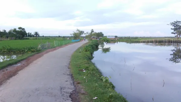 Paved rural road in developing country with water on either side.