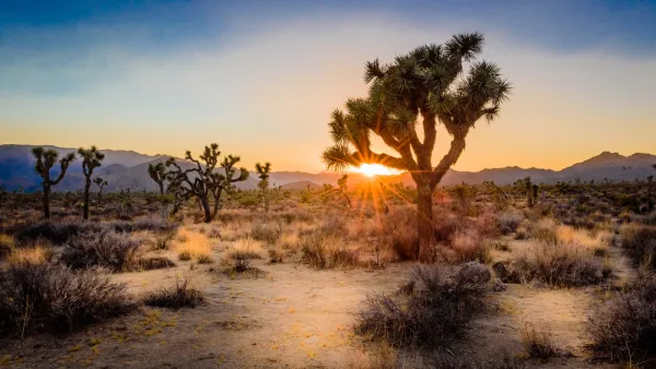 California Desert