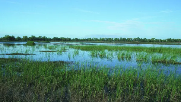 Natural Resources Conservation Service's Wetlands Reserve Program
