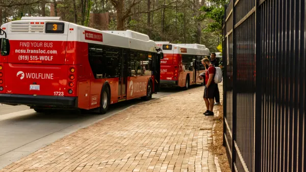 A line of buses on campus at North Carolina State University, pictured with fall leaves on the ground.