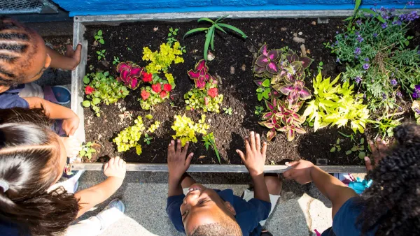 Overhead view of young children looking at plants growing in raised planter box.