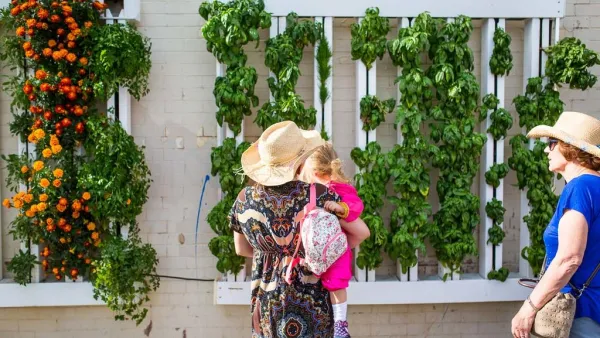 Urban Gardening