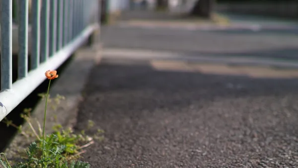 Asphalt