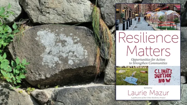 Ivy-covered stone wall and cover of Resilience Matters e-book
