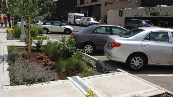 Bioswale
