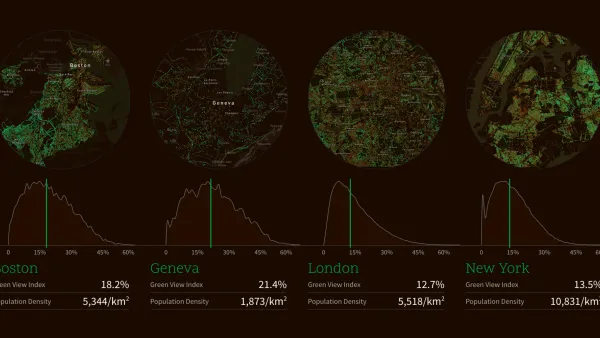 Urban Forests