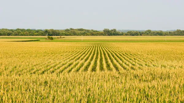 corn field in polk county iowa