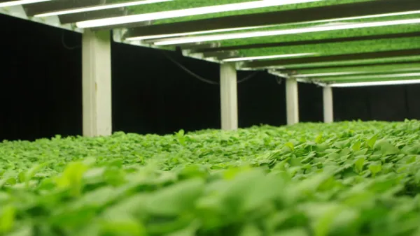Farmed Here Aquaponics