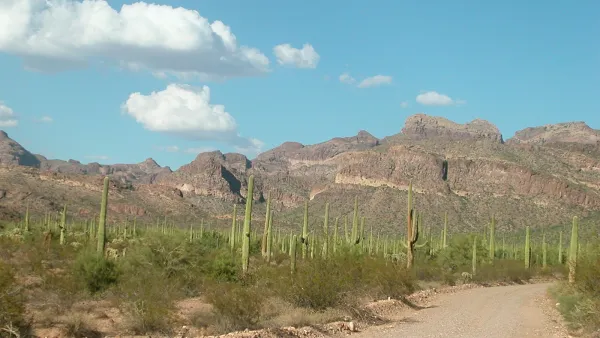 Organ Pipe Cactus National Monument