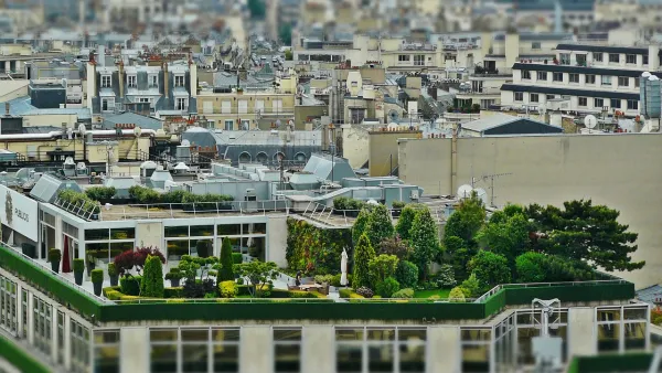 French Density