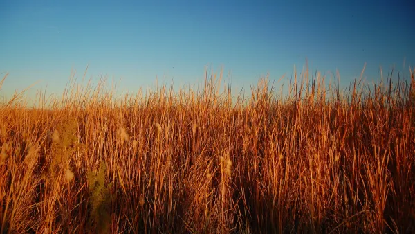Salton Sea Refuge