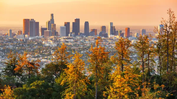 View of Los Angeles skyline at sunrise with yellow and green trees in foreground