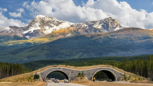 Wildlife crossing bridge over roadway in Banff, Canada with snow-topped mountains in background