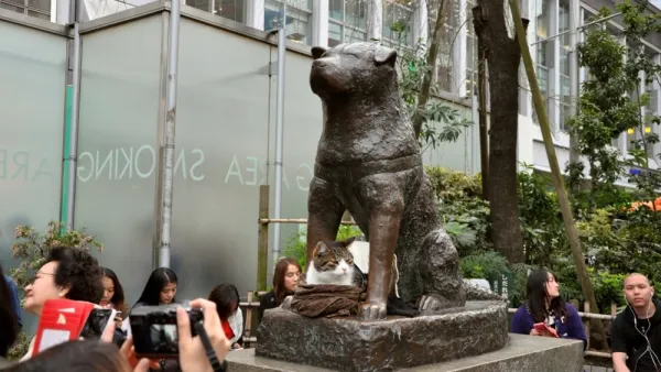 Shibuya, Tokyo