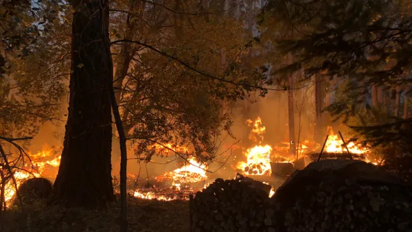 Fire burns in a forest during Camp Fire in Paradise, California