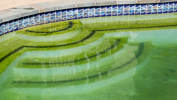 Backyard Pool