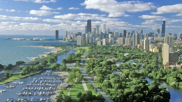 Chicago Lake Michigan Trees