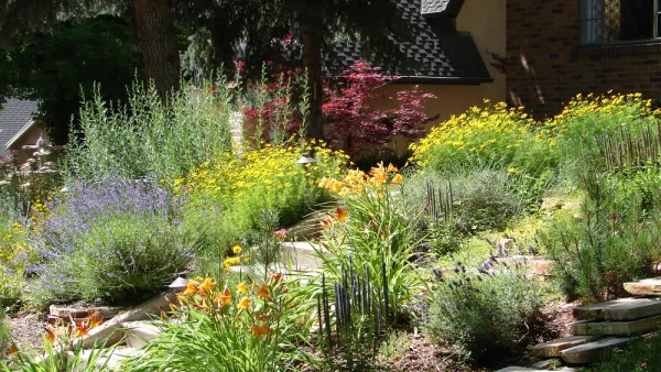 Front yard landscaped with native plants and flowers
