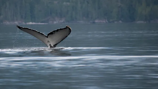 Salish Sea