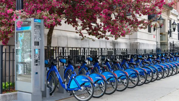 Citi Bike station in Astoria, Queens filled with bikes under pink flowering tree