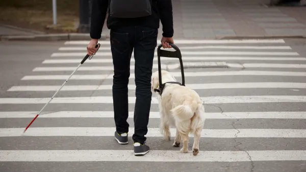 Man crossing crosswalk with seeing eye dog and cane