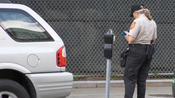 Meter Maid