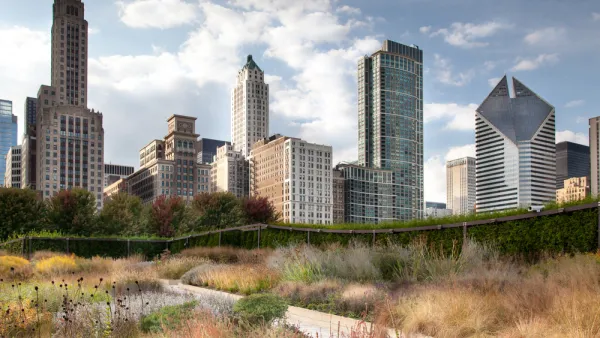 Downtown Skyline