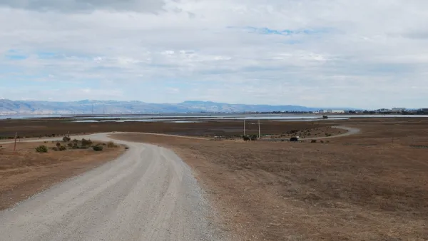 Gravel trail winds through grassy marshy field in Baylands Park, Palo Alto