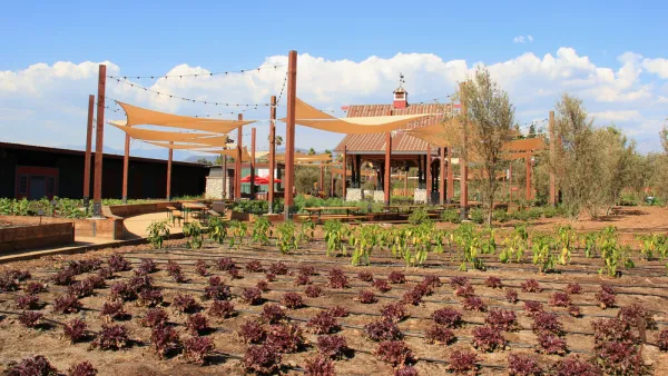 Agriculture Exhibition
