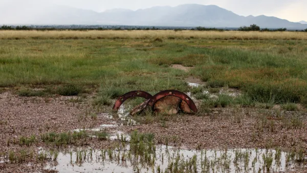 Rainy Wetlands