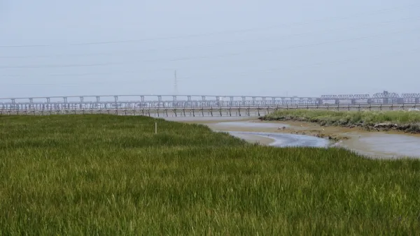 Bay Area Wetlands