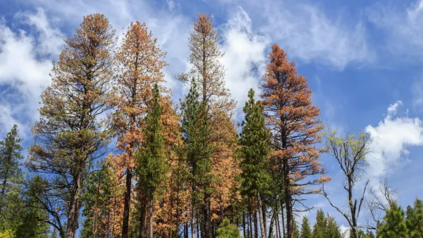 Sierra Nevada Drought
